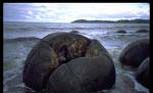 Moeraki Boulders in New Zealand